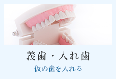義歯・入れ歯　仮の歯を入れる